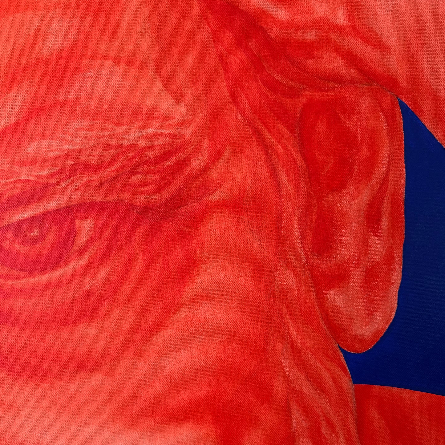 Close-up artwork of a human face in vivid red tones, with a dark blue area visible on the right side.
