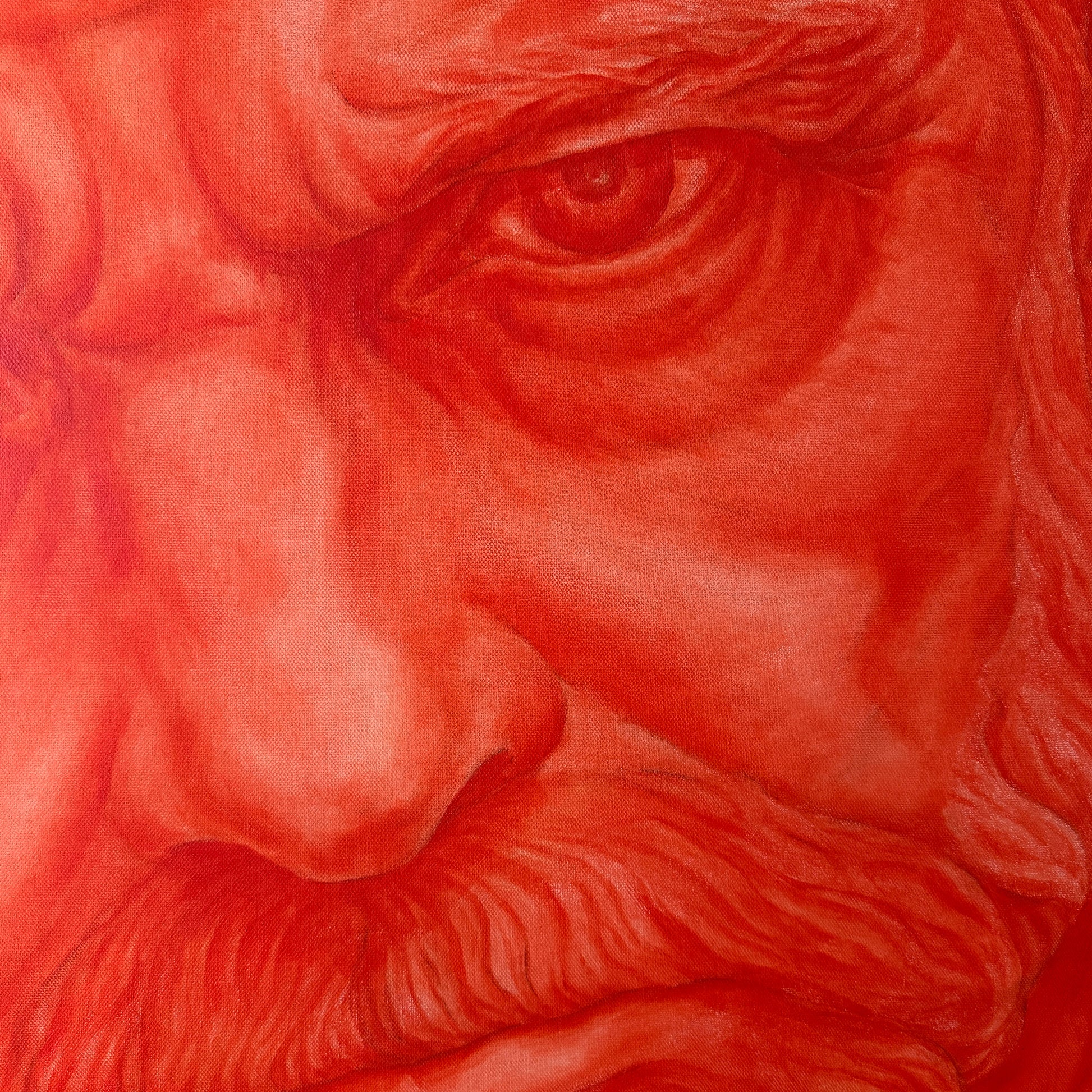 A close-up red artwork depicting part of a human face, with visible eye, nose, cheek, and beard in red tones.
