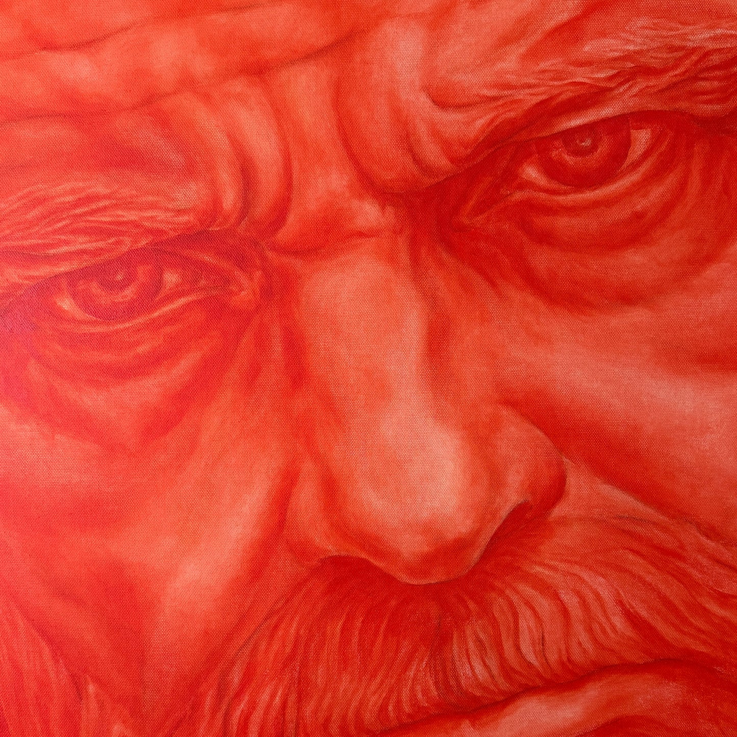 Close-up artwork of a wrinkled human face rendered almost entirely in red tones, with intense eyes and a beard.