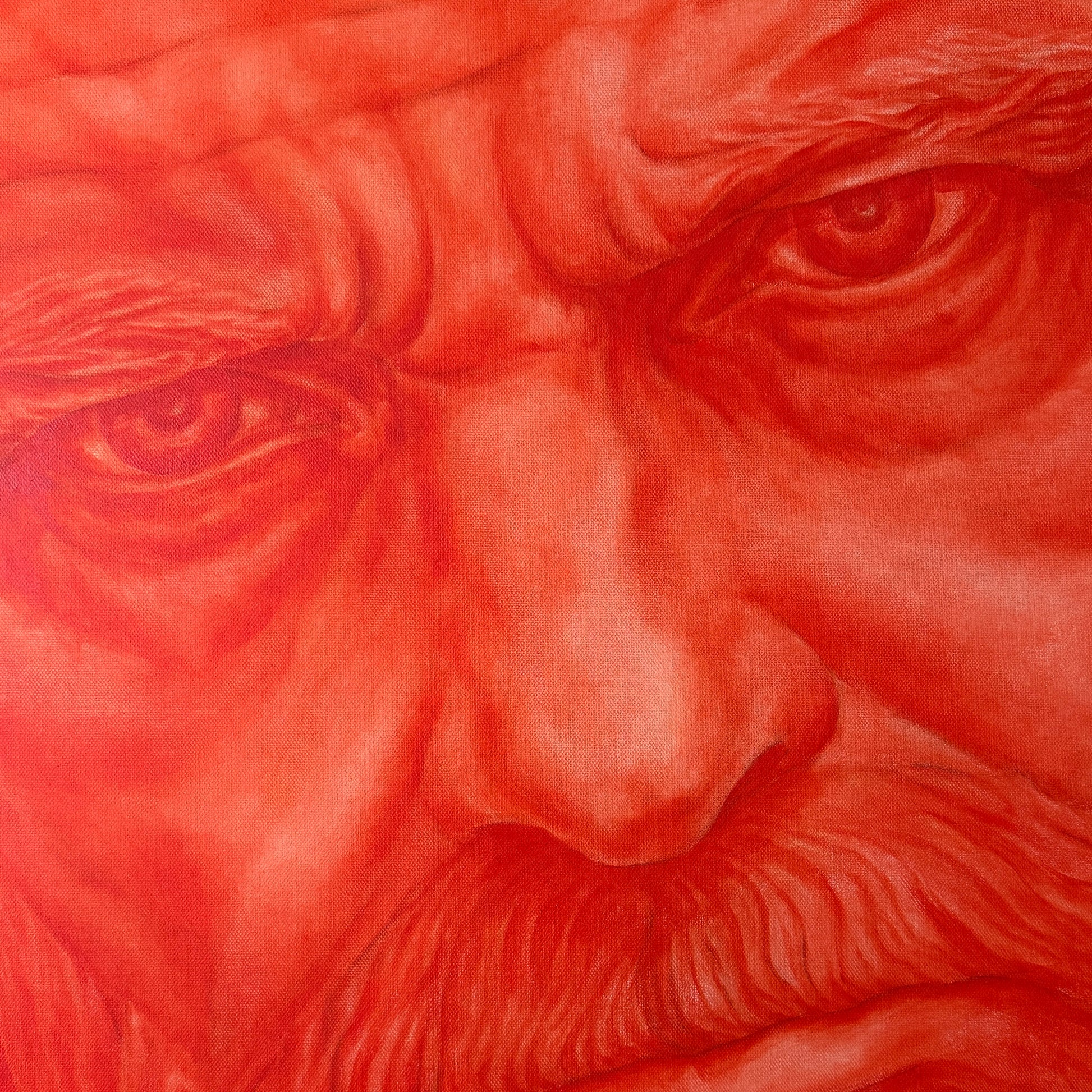 Close-up artwork of a wrinkled human face rendered almost entirely in red tones, with intense eyes and a beard.